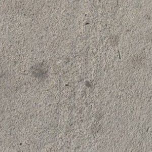 Meet your Posher, Ricky